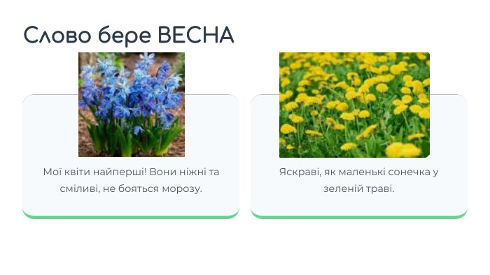 Проліски. Мої квіти найперші! Вони ніжні та сміливі, не бояться морозу. Кульбабки. Яскраві, як маленькі сонечка у зеленій траві. Слово бере ВЕСНА