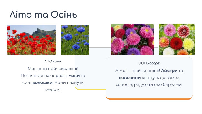 ЛІТО каже: Мої квіти найяскравіші! Погляньте на червоні маки та сині волошки. Вони пахнуть медом!ОСІНЬ додає: А мої — найпишніші! Айстри та жоржини квітнуть до самих холодів, радуючи око барвами. Літо та Осінь