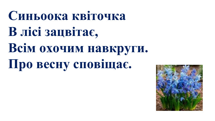 Синьоока квіточка В лісі зацвітає, Всім охочим навкруги. Про весну сповіщає. 