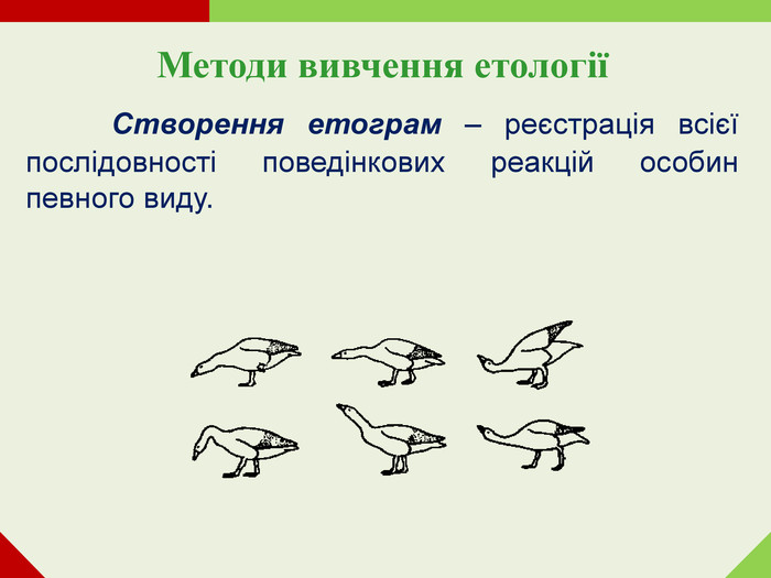 Методи вивчення етології    Створення етограм – реєстрація всієї послідовності поведінкових реакцій особин певного виду.     