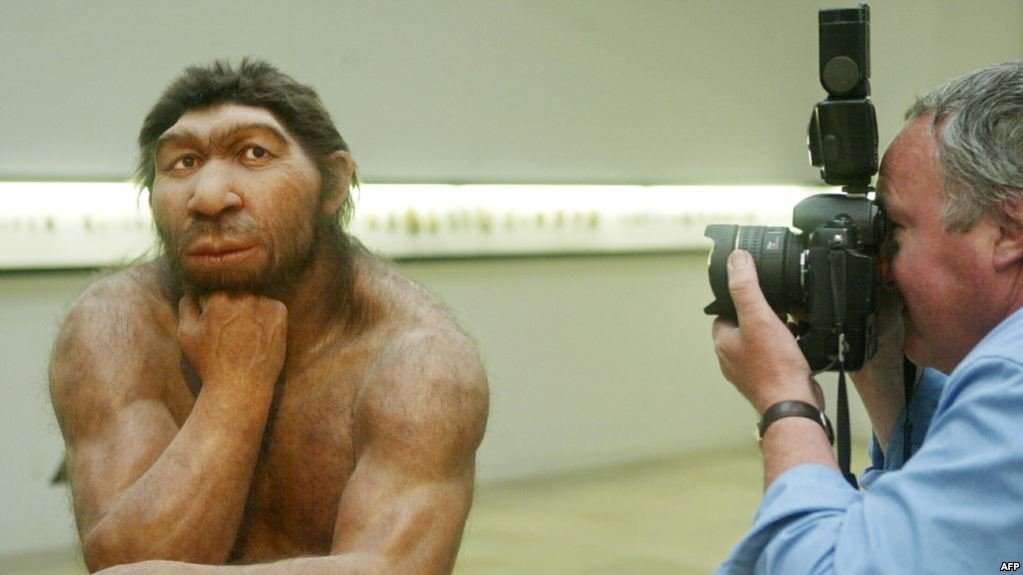 Картинки по запросу кто был в музее неандертальца германия