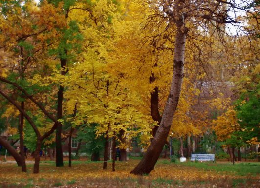 F:\Бердянск.В университетском парке Осень 2006 года   Кравченко PA273163.jpg