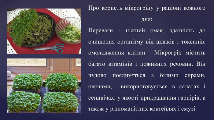 Про користь мікрогріну у раціоні кожного дня: Переваги - ніжний смак, здатність до очищення організму від шлаків і токсинів, омолодження клітин. Мікрогрін містить багато вітамінів і поживних речовин. Він чудово поєднується з білими сирами, овочами, використовується в салатах і сендвічах, у якості прикрашання гарнірів, а також у різноманітних коктейлях і смузі.