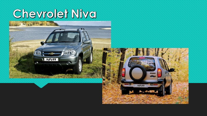 Ремонтируем Chevrolet Niva: дешевле или дороже обслуживание 