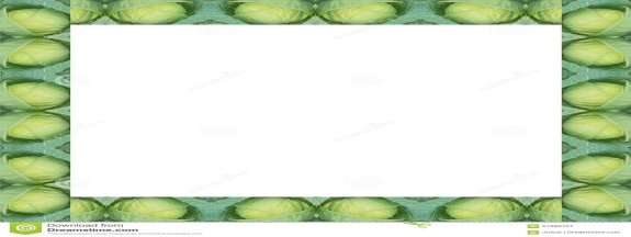 G:\все про капусту на курси\green-cabbage-frame-isolated-white-background-57990757.jpg