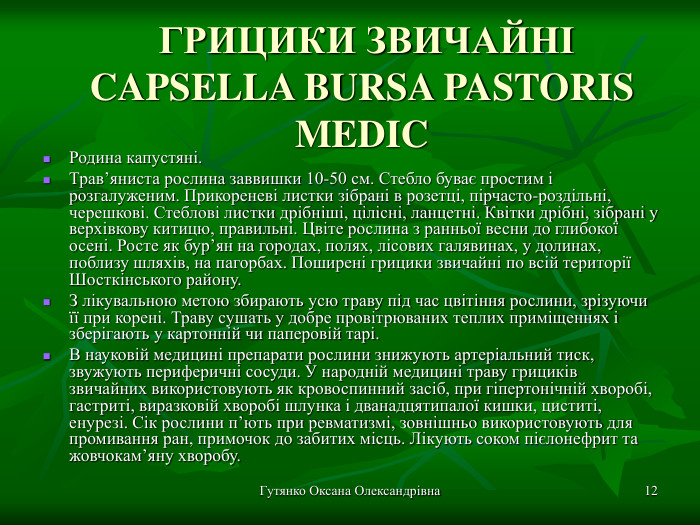 Гутянко Оксана Олександрівна *  ГРИЦИКИ ЗВИЧАЙНІ CAPSELLA BURSA PASTORIS MEDIC  Родина капустяні. Трав’яниста рослина заввишки 10-50 см. Стебло буває простим і розгалуженим. Прикореневі листки зібрані в розетці, пірчасто-роздільні, черешкові. Стеблові листки дрібніші, цілісні, ланцетні. Квітки дрібні, зібрані у верхівкову китицю, правильні. Цвіте рослина з ранньої весни до глибокої осені. Росте як бур’ян на городах, полях, лісових галявинах, у долинах, поблизу шляхів, на пагорбах. Поширені грицики звичайні по всій території Шосткінського району. З лікувальною метою збирають усю траву під час цвітіння рослини, зрізуючи її при корені. Траву сушать у добре провітрюваних теплих приміщеннях і зберігають у картонній чи паперовій тарі. В науковій медицині препарати рослини знижують артеріальний тиск, звужують периферичні сосуди. У народній медицині траву грициків звичайних використовують як кровоспинний засіб, при гіпертонічній хворобі, гастриті, виразковій хворобі шлунка і дванадцятипалої кишки, циститі, енурезі. Сік рослини п’ють при ревматизмі, зовнішньо використовують для промивання ран, примочок до забитих місць. Лікують соком пієлонефрит та жовчокам’яну хворобу. 