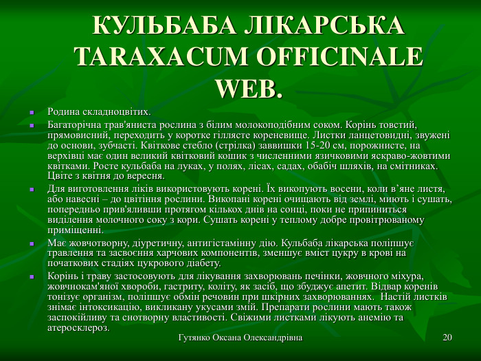 Гутянко Оксана Олександрівна * КУЛЬБАБА ЛІКАРСЬКА TARAXACUM OFFICINALE WEB. Родина складноцвітих.  Багаторічна трав'яниста рослина з білим молокоподібним соком. Корінь товстий, прямовисний, переходить у коротке гіллясте кореневище. Листки ланцетовидні, звужені до основи, зубчасті. Квіткове стебло (стрілка) заввишки 15-20 см, порожнисте, на верхівці має один великий квітковий кошик з численними язичковими яскраво-жовтими квітками. Росте кульбаба на луках, у полях, лісах, садах, обабіч шляхів, на смітниках. Цвіте з квітня до вересня.  Для виготовлення ліків використовують корені. Їх викопують восени, коли в’яне листя, або навесні – до цвітіння рослини. Викопані корені очищають від землі, миють і сушать, попередньо прив'яливши протягом кількох днів на сонці, поки не припиниться виділення молочного соку з кори. Сушать корені у теплому добре провітрюваному приміщенні. Має жовчотворну, діуретичну, антигістамінну дію. Кульбаба лікарська поліпшує травлення та засвоєння харчових компонентів, зменшує вміст цукру в крові на початкових стадіях цукрового діабету.  Корінь і траву застосовують для лікування захворювань печінки, жовчного міхура, жовчнокам'яної хвороби, гастриту, коліту, як засіб, що збуджує апетит. Відвар коренів тонізує організм, поліпшує обмін речовин при шкірних захворюваннях.  Настій листків знімає інтоксикацію, викликану укусами змій. Препарати рослини мають також заспокійливу та снотворну властивості. Свіжими листками лікують анемію та атеросклероз.  