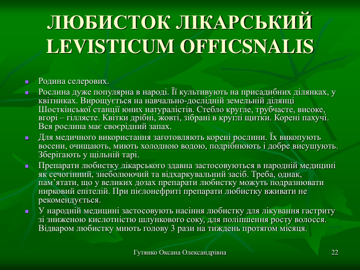Гутянко Оксана Олександрівна * ЛЮБИСТОК ЛІКАРСЬКИЙ LEVISTICUM OFFICSNALIS Родина селерових. Рослина дуже популярна в народі. Її культивують на присадибних ділянках, у квітниках. Вирощується на навчально-дослідній земельній ділянці Шосткінської станції юних натуралістів. Стебло кругле, трубчасте, високе, вгорі – гіллясте. Квітки дрібні, жовті, зібрані в круглі щитки. Корені пахучі. Вся рослина має своєрідний запах.  Для медичного використання заготовляють корені рослини. Їх викопують восени, очищають, миють холодною водою, подрібнюють і добре висушують. Зберігають у щільній тарі. Препарати любистку лікарського здавна застосовуються в народній медицині як сечогінний, знеболюючий та відхаркувальний засіб. Треба, однак, пам’ятати, що у великих дозах препарати любистку можуть подразнювати нирковий епітелій. При пієлонефриті препарати любистку вживати не рекомендується.  У народній медицині застосовують насіння любистку для лікування гастриту зі зниженою кислотністю шлункового соку, для поліпшення росту волосся. Відваром любистку миють голову 3 рази на тиждень протягом місяця. 