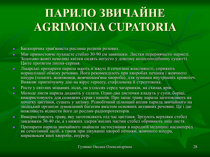 Гутянко Оксана Олександрівна * ПАРИЛО ЗВИЧАЙНЕ AGRIMONIA CUPATORIA  Багаторічна трав'яниста рослина родини розових. Має прямостояче пухнасте стебло 30-90 см заввишки. Листки переривчасто-перисті. Золотаво-жовті невеликі квітки сидять негусто у довгому колосоподібному суцвітті. Цвіте протягом липня-серпня. Лікарські препарати парила мають в’яжучі й сечогінні властивості, сприяють нормалізації обміну речовин. Його рекомендують при хворобах печінки і жовчного міхура (гепатит, жовтяниця, жовчнокам'яна хвороба), для зупинки внутрішніх кровотеч. Виявляє пригнічуючу дію на вірус герпесу, стафілокока й стрептокока.  Росте у світлих мішаних лісах, на узліссях серед чагарників, на схилах ярів. Молоде листя парила додають у салати. Один-два листочки кладуть у супи, борщі, використовують для солодких страв і напоїв. Про запас траву парила заготовляють на початку цвітіння, сушать у затінку. Різнобічний цілющий вплив парила звичайного на людський організм зумовлений багатим вмістом основних активних речовин. Це і дає можливість віднести його до рослин-радіопротекторів. Використовують траву, яку заготовляють під час цвітіння. Зрізують верхівки стебел завдовжки 30-40 см, а з нижніх здерев’янілих частин стебел обривають лиш листя. Препарати парила звичайного знайшли застосування в народній медицині насамперед як сечогінний засіб, а також при лікуванні хвороб печінки, жовчного міхура, нирковокам’яної хвороби, енурезу. 