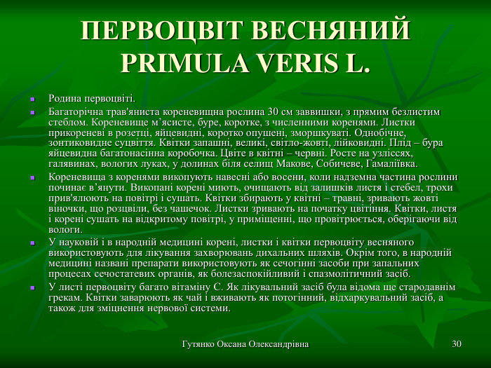 Гутянко Оксана Олександрівна * ПЕРВОЦВІТ ВЕСНЯНИЙ PRIMULA VERIS L. Родина первоцвіті. Багаторічна трав'яниста кореневищна рослина 30 см заввишки, з прямим безлистим стеблом. Кореневище м’ясисте, буре, коротке, з численними коренями. Листки прикореневі в розетці, яйцевидні, коротко опушені, зморшкуваті. Однобічне, зонтиковидне суцвіття. Квітки запашні, великі, світло-жовті, лійковидні. Плід – бура яйцевидна багатонасінна коробочка. Цвіте в квітні – червні. Росте на узліссях, галявинах, вологих луках, у долинах біля селищ Макове, Собичеве, Гамаліївка. Кореневища з коренями викопують навесні або восени, коли надземна частина рослини починає в’янути. Викопані корені миють, очищають від залишків листя і стебел, трохи прив'ялюють на повітрі і сушать. Квітки збирають у квітні – травні, зривають жовті віночки, що розцвіли, без чашечок. Листки зривають на початку цвітіння. Квітки, листя і корені сушать на відкритому повітрі, у приміщенні, що провітрюється, оберігаючи від вологи.  У науковій і в народній медицині корені, листки і квітки первоцвіту весняного використовують для лікування захворювань дихальних шляхів. Окрім того, в народній медицині названі препарати використовують як сечогінні засоби при запальних процесах сечостатевих органів, як болезаспокійливий і спазмолітичний засіб. У листі первоцвіту багато вітаміну С. Як лікувальний засіб була відома ще стародавнім грекам. Квітки заварюють як чай і вживають як потогінний, відхаркувальний засіб, а також для зміцнення нервової системи. 