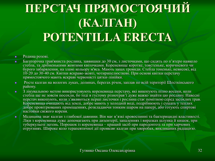 Гутянко Оксана Олександрівна * ПЕРСТАЧ ПРЯМОСТОЯЧИЙ (КАЛГАН) POTENTILLA ERECTA Родина розові. Багаторічна трав'яниста рослина, заввишки до 30 см, з листочками, що сидять по п’ятеро навколо стебла, та дрібненькими жовтими квіточками. Кореневище коротке, товстеньке, коричневого чи бурого забарвлення, на зламі кольору м'яса. Мають запах троянди. Стебла тоненькі, невисокі, від 10-20 до 30-40 см. Квітки яскраво-жовті, чотирипелюсткові. При основі квітки перстачу прямостоячого мають яскраві червонясті цятки-лінійки.  Росте калган на вологих луках, долинах, берегах річок, заплав по всій території Шосткінського району. З лікувальною метою використовують кореневища перстачу, які викопують пізно восени, коли стебла ще не зовсім посохли, бо тоді в густому різнотрав’ї дуже важко знайти цю рослину. Навесні перстач викопують, коли з’являються перші листочки і рослина стає помітною серед засохлих трав. Кореневища очищають від землі, добре миють у холодній воді, подрібнюють і сушать у теплих добре провітрюваних приміщеннях, розкладаючи тонким шаром на папері, або готують спиртові настойки свіжого кореня. Медицина знає калган з глибокої давнини. Він має в’язкі кровоспинні та бактерицидні властивості. Ліки з кореневища дуже допомагають при дизентерії, запаленнях і виразках шлунка й кишок, при туберкульозі легень. Порошок із кореневища – кращий засіб при пародонтозі та при харчових отруєннях. Широке коло терапевтичної дії проявляє калган при хворобах, викликаних радіацією.  