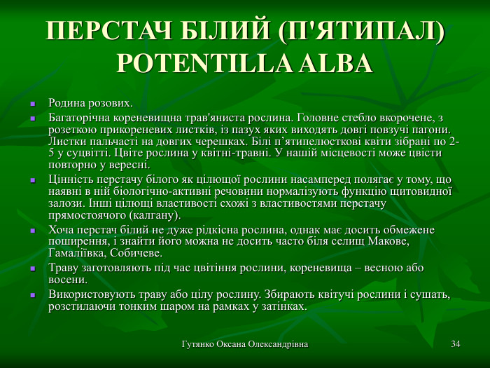 Гутянко Оксана Олександрівна * ПЕРСТАЧ БІЛИЙ (П'ЯТИПАЛ) POTENTILLA ALBA Родина розових. Багаторічна кореневищна трав'яниста рослина. Головне стебло вкорочене, з розеткою прикореневих листків, із пазух яких виходять довгі повзучі пагони. Листки пальчасті на довгих черешках. Білі п’ятипелюсткові квіти зібрані по 2-5 у суцвітті. Цвіте рослина у квітні-травні. У нашій місцевості може цвісти повторно у вересні. Цінність перстачу білого як цілющої рослини насамперед полягає у тому, що наявні в ній біологічно-активні речовини нормалізують функцію щитовидної залози. Інші цілющі властивості схожі з властивостями перстачу прямостоячого (калгану). Хоча перстач білий не дуже рідкісна рослина, однак має досить обмежене поширення, і знайти його можна не досить часто біля селищ Макове, Гамаліївка, Собичеве. Траву заготовляють під час цвітіння рослини, кореневища – весною або восени. Використовують траву або цілу рослину. Збирають квітучі рослини і сушать, розстилаючи тонким шаром на рамках у затінках. 