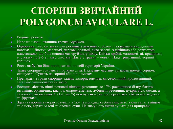 Гутянко Оксана Олександрівна * СПОРИШ ЗВИЧАЙНИЙ POLYGONUM AVICULARE L.  Родина гречкові. Народні назви: пташина гречка, муріжок. Однорічна, 5-20 см заввишки рослина з лежачим стеблом і гіллястими висхідними пагонами. Листки маленькі, чергові, овальні, сизо-зелені, з лінійною або довгастою пластинкою, що біля основи має трубчасту піхву. Квітки дрібні, малопомітні, правильні, містяться по 2-5 у пазусі листків. Цвіте у травні – жовтні. Плід тригранний, чорний горішок. Росте як бур'ян біля доріг, житла, по всій території України. Траву споришу збирають протягом літа. Надземну частину зрізають ножем, серпом, скошують. Сушать на горищі або під наметом.  Препарати з трави споришу здавна використовують як сечогінний, кровоспинний, загально зміцнювальний засіб. Рослина містить цінні поживні цілющі речовини: до 17% рослинного білку, багато вітамінів, органічних кислот, мікроелементів, дубильні речовини, цукри, віск, смоли, а за наявністю вітаміну С (120 мл %) цей бур'ян може посперечатись з багатьма ягодами та фруктами. Здавна спориш використовували в їжу. Із молодих стебел і листя готують салат з яйцем та олією, варять м'ясні та овочеві супи. На зиму його листя сушать для приправи.  