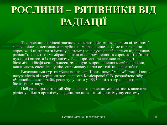 Гутянко Оксана Олександрівна * РОСЛИНИ – РЯТІВНИКИ ВІД РАДІАЦІЇ Такі рослини наділені значною кількістю вітамінів, зокрема вітаміном С, флавоноідами, пектинами та дубильними речовинами. Саме ці речовини спроможні підтримати імунну систему (вона дуже ослаблюється під впливом радіації), захистити мембрани клітин від опромінення та спроможні зв’язати нукліди і вивести їх з організму. Радіопротектори активно впливають на біохімічні і біофізичні процеси, зменшують проникнення мембран клітин, викликають специфічну дію, спрямовану на захист клітин від загибелі. Вихованцями гуртка «Зелена аптека» Шосткінської міської станції юних натуралістів під керівництвом педагога Комісарової С.В. розроблено збір «Чорнобильський чай», рецептуру якого у 1993 році затвердив доктор біологічних наук.  Цей радіопротекторний збір лікарських рослин має здатність виводити радіонукліїди з організму людини, захищає та зміцнює імунну систему.   