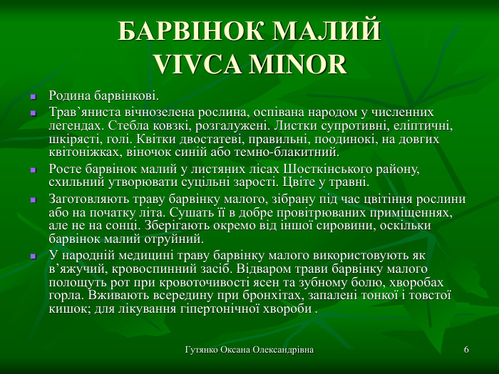 Гутянко Оксана Олександрівна * БАРВІНОК МАЛИЙ VIVCA MINOR Родина барвінкові. Трав’яниста вічнозелена рослина, оспівана народом у численних легендах. Стебла ковзкі, розгалужені. Листки супротивні, еліптичні, шкірясті, голі. Квітки двостатеві, правильні, поодинокі, на довгих квітоніжках, віночок синій або темно-блакитний.  Росте барвінок малий у листяних лісах Шосткінського району, схильний утворювати суцільні зарості. Цвіте у травні. Заготовляють траву барвінку малого, зібрану під час цвітіння рослини або на початку літа. Сушать її в добре провітрюваних приміщеннях, але не на сонці. Зберігають окремо від іншої сировини, оскільки барвінок малий отруйний. У народній медицині траву барвінку малого використовують як в’яжучий, кровоспинний засіб. Відваром трави барвінку малого полощуть рот при кровоточивості ясен та зубному болю, хворобах горла. Вживають всередину при бронхітах, запалені тонкої і товстої кишок; для лікування гіпертонічної хвороби . 