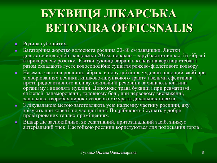 Гутянко Оксана Олександрівна * БУКВИЦЯ ЛІКАРСЬКА        BETONIRA OFFICSNALIS Родина губоцвітих. Багаторічна жорстко волосиста рослина 20-80 см заввишки. Листки довгастояйцеподібні завдовжки 20 см, по краю – зарубчасто-пилчасті й зібрані в прикореневу розетку.  Квітки буквиці зібрані в кільця на верхівці стебла і разом складають густе колосоподібне суцвіття рожево-фіолетового кольору. Наземна частина рослини, зібрана в пору цвітіння, чудовий цілющий засіб при захворюваннях печінки, кишково-шлункового тракту і вельми ефективна проти радіоактивного впливу, оскільки її речовини захищають клітини організму і виводять нукліди. Допоможе трава буквиці і при ревматизмі, епілепсії, запамороченні, головному болі, при нервовому виснаженні, запальних хворобах нирок і сечового міхура та дихальних шляхів.  З лікувальною метою заготовляють усю надземну частину рослини, яку зрізують при корені під час цвітіння. Подрібнюють і сушать у добре провітрюваних теплих приміщеннях. Відвар діє заспокійливо, як седативний, притозапальний засіб, знижує артеріальний тиск. Настойкою рослини користуються для полоскання горла .  