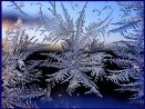 Фото відео новини Рівне | Зима малює візерунки