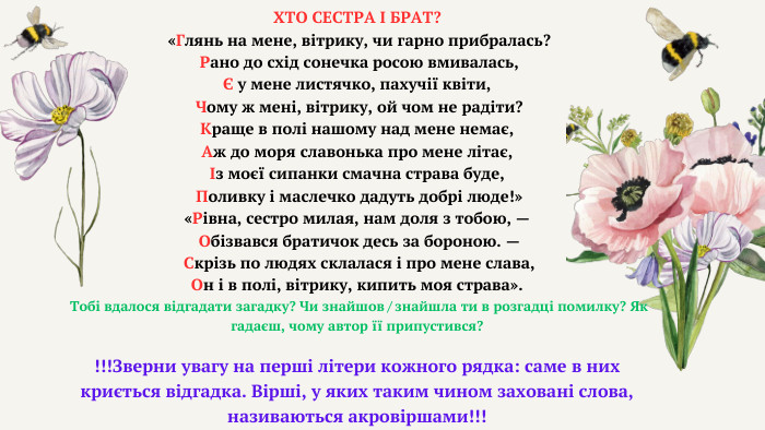 ХТО СЕСТРА І БРАТ? «Глянь на мене, вітрику, чи гарно прибралась? Рано до схід сонечка росою вмивалась, Є у мене листячко, пахучії квіти, Чому ж мені, вітрику, ой чом не радіти? Краще в полі нашому над мене немає,Аж до моря славонька про мене літає, Із моєї сипанки смачна страва буде, Поливку і маслечко дадуть добрі люде!» «Рівна, сестро милая, нам доля з тобою, — Обізвався братичок десь за бороною. — Скрізь по людях склалася і про мене слава, Он і в полі, вітрику, кипить моя страва». Тобі вдалося відгадати загадку? Чи знайшов / знайшла ти в розгадці помилку? Як гадаєш, чому автор її припустився? !!!Зверни увагу на перші літери кожного рядка: саме в них криється відгадка. Вірші, у яких таким чином заховані слова, називаються акровіршами!!!