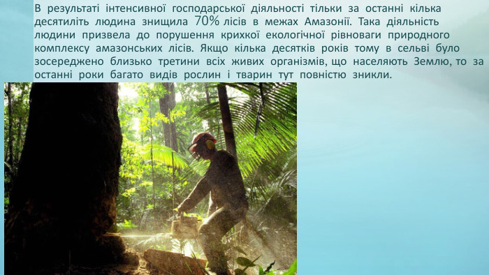 В результаті інтенсивної господарської діяльності тільки за останні кілька десятиліть людина знищила 70% лісів в межах Амазонії. Така діяльність людини призвела до порушення крихкої екологічної рівноваги природного комплексу амазонських лісів. Якщо кілька десятків років тому в сельві було зосереджено близько третини всіх живих організмів, що населяють Землю, то за останні роки багато видів рослин і тварин тут повністю зникли. 