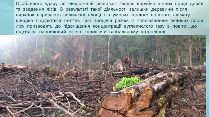 Особливого удару по екологічній рівновазі завдає вирубка цінних порід дерев та зведення лісів. В результаті такої діяльності залишки деревини після вирубок вкривають величезні площі і в умовах теплого вологого клімату швидко піддаються гниттю. Такі процеси разом із спалюванням великих площ лісу призводять до підвищення концентрації вуглекислого газу в повітрі, що підсилює парниковий ефект, сприяючи глобальному потеплінню.