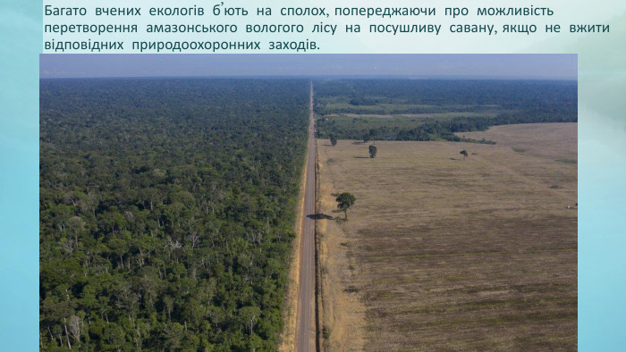 Багато вчених екологів б’ють на сполох, попереджаючи про можливість перетворення амазонського вологого лісу на посушливу савану, якщо не вжити відповідних природоохоронних заходів.