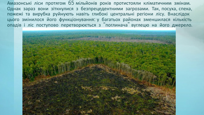 Амазонські ліси протягом 65 мільйонів років протистояли кліматичним змінам. Однак зараз вони зіткнулися з безпрецедентними загрозами. Так, посуха, спека, пожежі та вирубка руйнують навіть глибокі центральні регіони лісу. Внаслідок цього змінилося його функціонування: у багатьох районах зменшилася кількість опадів і ліс поступово перетворюється з “поглинача” вуглецю на його джерело.