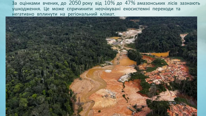 За оцінками вчених, до 2050 року від 10% до 47% амазонських лісів зазнають ушкодження. Це може спричинити неочікувані екосистемні переходи та негативно вплинути на регіональний клімат.