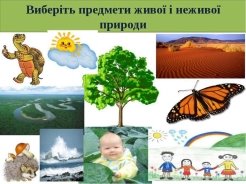 Людина – частина живої природи - презентація з я і Україна