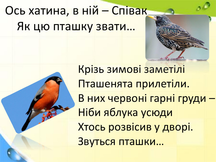 Ось хатина, в ній – Співак. Як цю пташку звати…Крізь зимові заметіліПташенята прилетіли. В них червоні гарні груди – Ніби яблука усюди. Хтось розвісив у дворі. Звуться пташки…