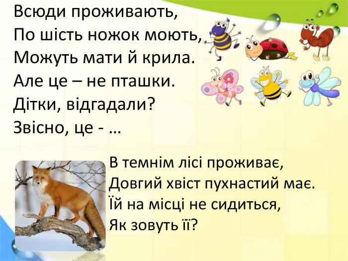 Всюди проживають,По шість ножок моють,Можуть мати й крила. Але це – не пташки. Дітки, відгадали?Звісно, це - …В темнім лісі проживає, Довгий хвіст пухнастий має.Їй на місці не сидиться,Як зовуть її?