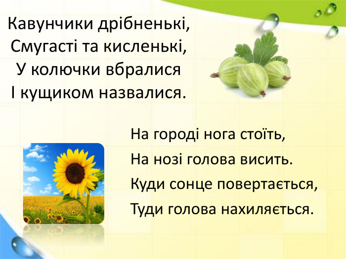 Кавунчики дрібненькі,Смугасті та кисленькі,У колючки вбралисяІ кущиком назвалися. На городі нога стоїть,На нозі голова висить. Куди сонце повертається,Туди голова нахиляється.