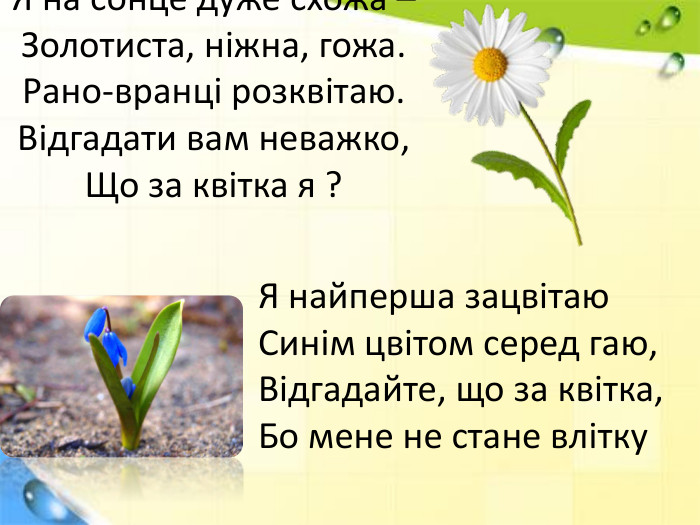 Я на сонце дуже схожа – Золотиста, ніжна, гожа. Рано-вранці розквітаю. Відгадати вам неважко,Що за квітка я ?Я найперша зацвітаю Синім цвітом серед гаю, Відгадайте, що за квітка,Бо мене не стане влітку 
