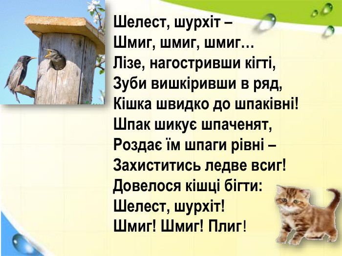Шелест, шурхіт – Шмиг, шмиг, шмиг… Лізе, нагостривши кігті, Зуби вишкіривши в ряд, Кішка швидко до шпаківні! Шпак шикує шпаченят, Роздає їм шпаги рівні – Захиститись ледве всиг! Довелося кішці бігти: Шелест, шурхіт! Шмиг! Шмиг! Плиг!