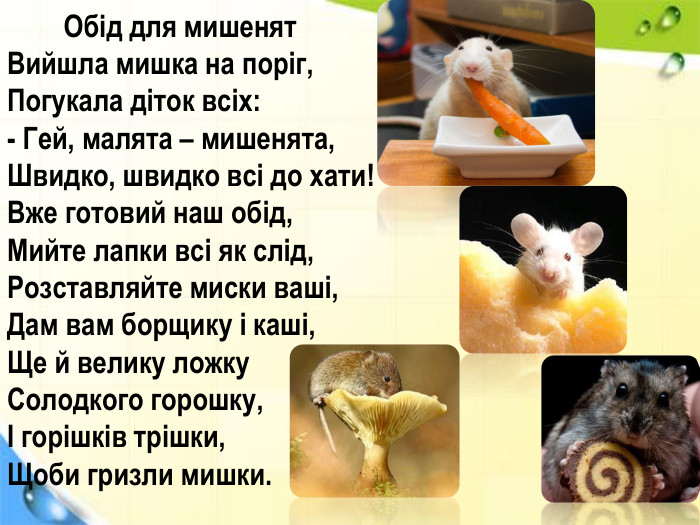  Обід для мишенят. Вийшла мишка на поріг, Погукала діток всіх:- Гей, малята – мишенята,Швидко, швидко всі до хати!Вже готовий наш обід,Мийте лапки всі як слід,Розставляйте миски ваші,Дам вам борщику і каші,Ще й велику ложку. Солодкого горошку,І горішків трішки,Щоби гризли мишки.
