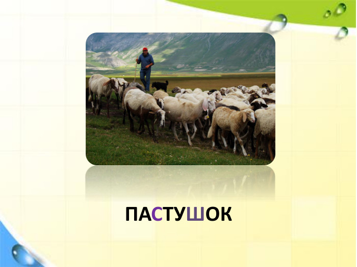 ПАСТУШОК