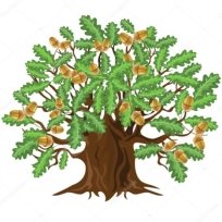 https://st.depositphotos.com/1656517/3551/v/950/depositphotos_35513671-stock-illustration-oak-tree-with-acorns-vector.jpg