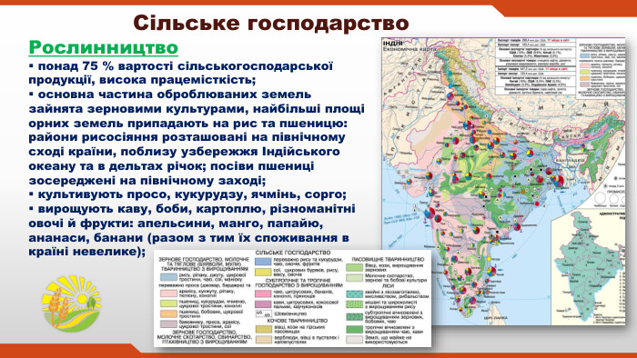 Сільське господарство понад 75 % вартості сільськогосподарської продукції, висока працемісткість; основна частина оброблюваних земель зайнята зерновими культурами, найбільші площі орних земель припадають на рис та пшеницю: райони рисосіяння розташовані на північному сході країни, поблизу узбережжя Індійського океану та в дельтах річок; посіви пшениці зосереджені на північному заході; культивують просо, кукурудзу, ячмінь, сорго; вирощують каву, боби, картоплю, різноманітні овочі й фрукти: апельсини, манго, папайю, ананаси, банани (разом з тим їх споживання в країні невелике);Рослинництво