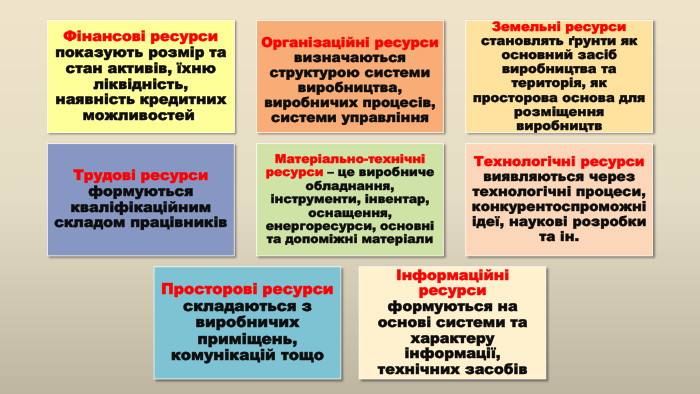 Фінансові ресурси показують розмір та стан активів, їхню ліквідність, наявність кредитних можливостей. Організаційні ресурси визначаються структурою системи виробництва, виробничих процесів, системи управління. Земельні ресурси становлять ґрунти як основний засіб виробництва та територія, як просторова основа для розміщення виробництв. Трудові ресурси формуються кваліфікаційним складом працівників Матеріально-технічні ресурси – це виробниче обладнання, інструменти, інвентар, оснащення, енергоресурси, основні та допоміжні матеріали. Технологічні ресурси виявляються через технологічні процеси, конкурентоспроможні ідеї, наукові розробки та ін. Просторові ресурси складаються з виробничих приміщень, комунікацій тощо Інформаційні ресурси формуються на основі системи та характеру інформації, технічних засобів