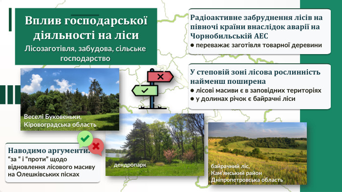 Вплив господарської діяльності на ліси. Лісозаготівля, забудова, сільське господарство. Радіоактивне забруднення лісів на півночі країни внаслідок аварії на Чорнобильській АЕС● переважає заготівля товарної деревини. У степовій зоні лісова рослинність найменш поширена● лісові масиви є в заповідних територіях ● у долинах річок є байрачні лісибайрачний ліс, Кам’янський район Дніпропетровська областьдендропарк. Веселі Буковеньки, Кіровоградська область Наводимо аргументи:“за “ і “проти” щодо відновлення лісового масиву на Олешківських пісках