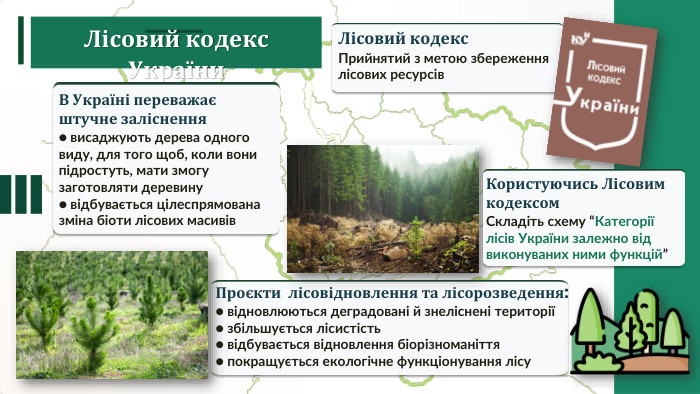 Лісовий кодекс України. Лісовий кодекс. Прийнятий з метою збереження лісових ресурсів. В Україні переважає штучне заліснення● висаджують дерева одного виду, для того щоб, коли вони підростуть, мати змогу заготовляти деревину ● відбувається цілеспрямована зміна біоти лісових масивів. Проєкти лісовідновлення та лісорозведення:● відновлюються деградовані й знеліснені території ● збільшується лісистість● відбувається відновлення біорізноманіття● покращується екологічне функціонування лісу. Користуючись Лісовим кодексом. Складіть схему “Категорії лісів України залежно від виконуваних ними функцій”