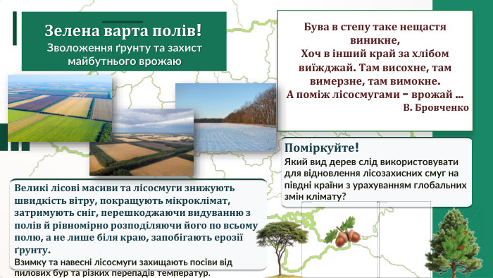 Поміркуйте!Який вид дерев слід використовувати для відновлення лісозахисних смуг на півдні країни з урахуванням глобальних змін клімату?Бува в степу таке нещастя виникне, Хоч в інший край за хлібом виїжджай. Там висохне, там вимерзне, там вимокне. А поміж лісосмугами - врожай …В. Бровченко. Зелена варта полів!Зволоження ґрунту та захист майбутнього врожаю. Великі лісові масиви та лісосмуги знижують швидкість вітру, покращують мікроклімат, затримують сніг, перешкоджаючи видуванню з полів й рівномірно розподіляючи його по всьому полю, а не лише біля краю, запобігають ерозії ґрунту. Взимку та навесні лісосмуги захищають посіви від пилових бур та різких перепадів температур.