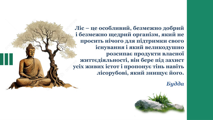 Ліс – це особливий, безмежно добрий і безмежно щедрий організм, який не просить нічого для підтримки свого існування і який великодушно розсипає продукти власної життєдіяльності, він бере під захист усіх живих істот і пропонує тінь навіть лісорубові, який знищує його. Будда
