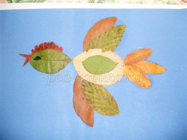  Аплікація з осіннього листя для середньої групи дитячого садка