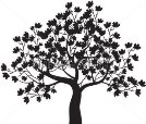 http://images.vectorhq.com/images/premium/previews/142/autumn-maple-tree-vector_142837522.jpg
