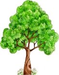 Картинки сказочное дерево (20 фото)                     </div>
                </div>
                                                                                                            </div>
                    

                    

                                    </div>

                <div class=