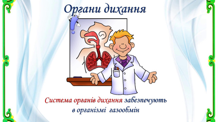 Органи дихання. Система органів дихання забезпечують в організмі газообмін 
