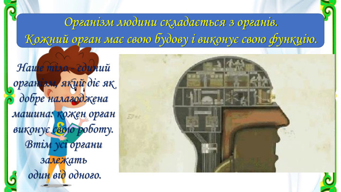Організм людини складається з органів. Кожний орган має свою будову і виконує свою функцію. Наше тіло - єдиний організм, який діє як добре налагоджена машина: кожен орган виконує свою роботу. Втім усі органи залежать один від одного.