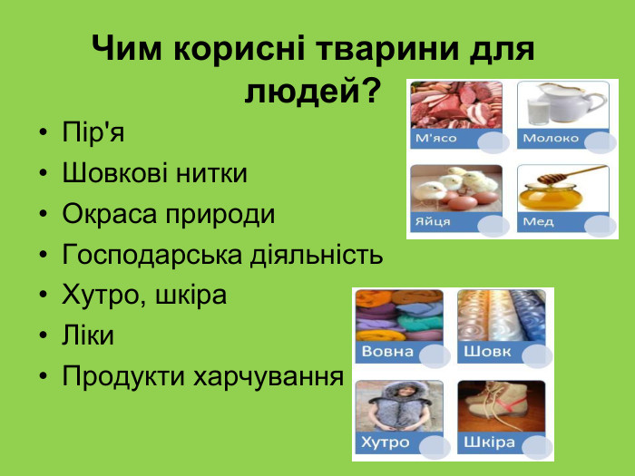 Чим корисні тварини для людей? Пір'я Шовкові нитки Окраса природи Господарська діяльність Хутро, шкіра Ліки  Продукти харчування 