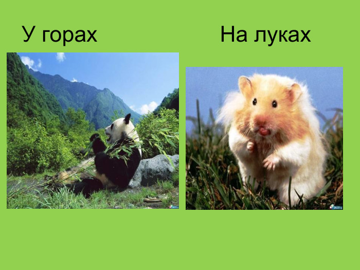 У горах                    На луках  