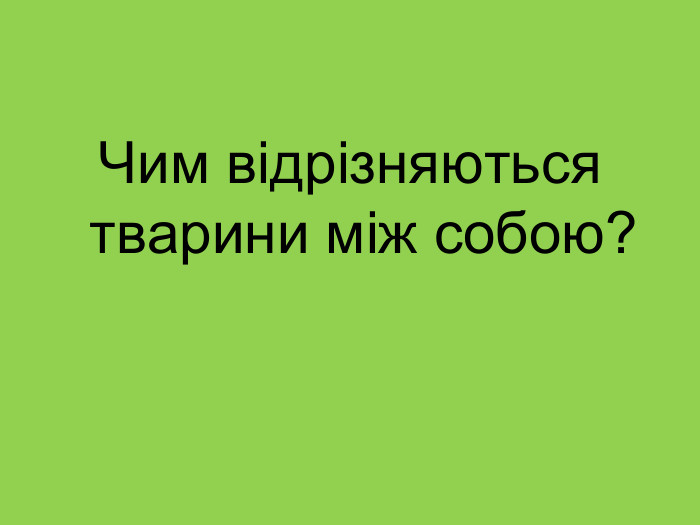 Чим відрізняються тварини між собою? 